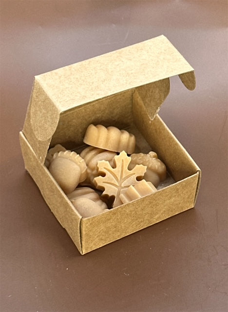 I. WAX MELTS - Box of Acorns, Pumpkins and Leaves